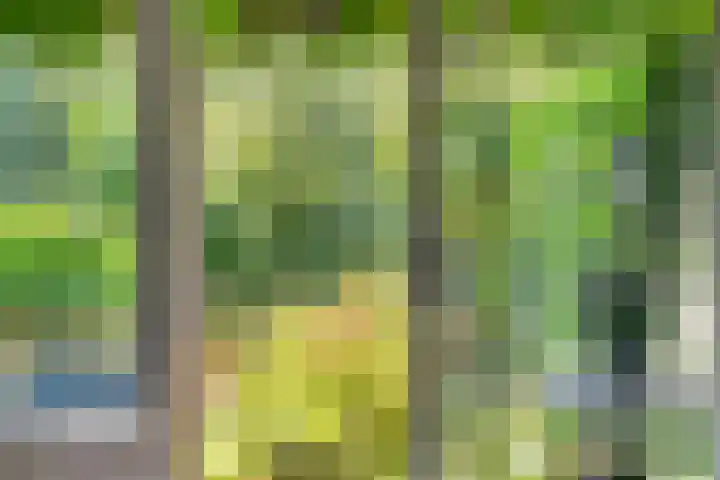 Parelduiker 4 Leusden thumbnail 12