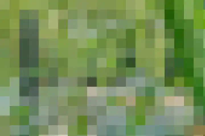 Parelduiker 4 Leusden thumbnail 14