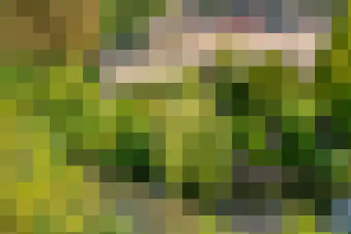 Parelduiker 4 Leusden thumbnail 18