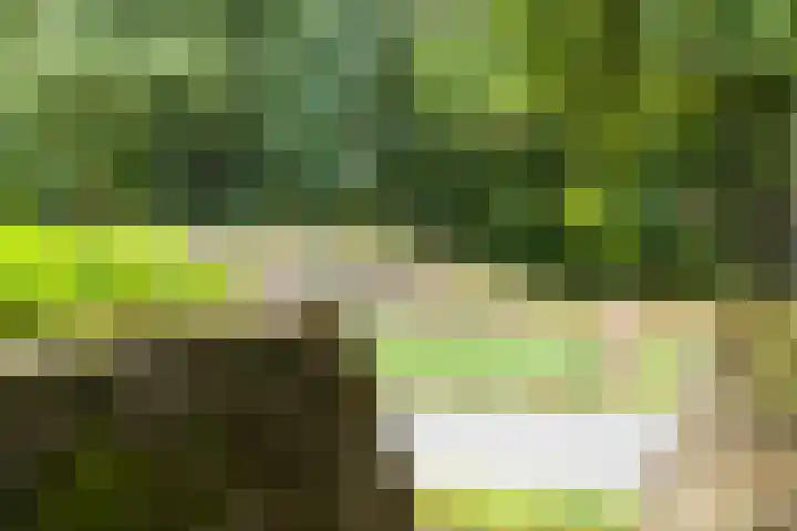 Parelduiker 4 Leusden thumbnail 21