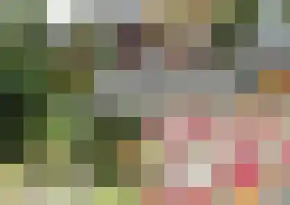 Parelduiker 4 Leusden thumbnail 24