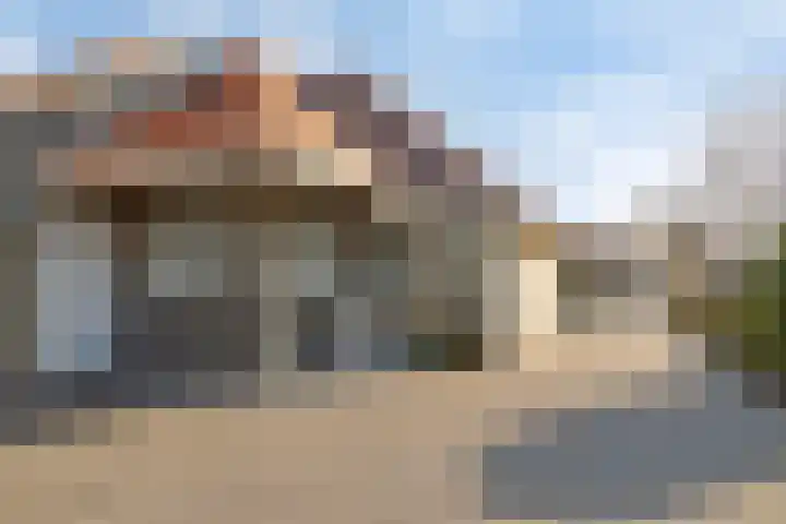 Parelduiker 4 Zoutelande thumbnail 10