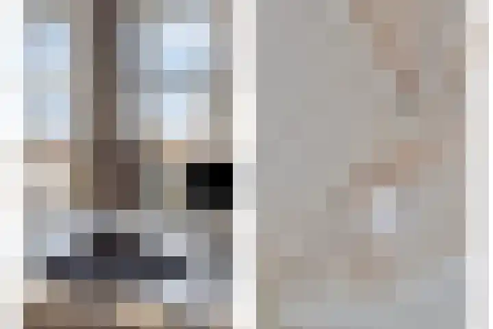 Parelduiker 4 Zoutelande thumbnail 13