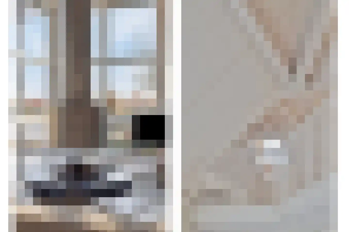 Parelduiker 4 Zoutelande thumbnail 13