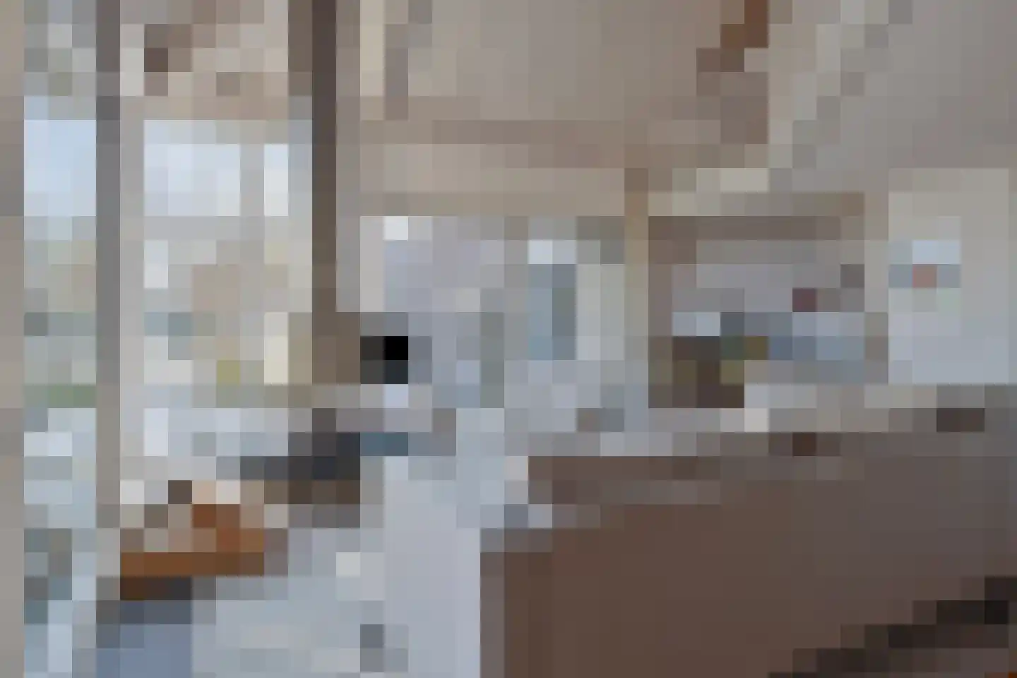 Parelduiker 4 Zoutelande thumbnail 14