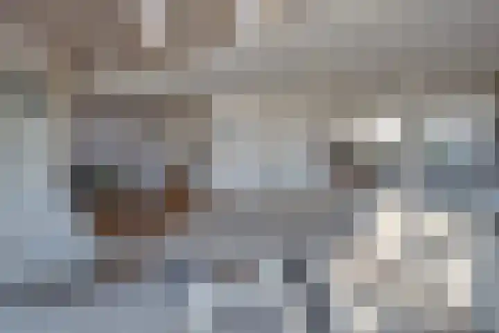 Parelduiker 4 Zoutelande thumbnail 15