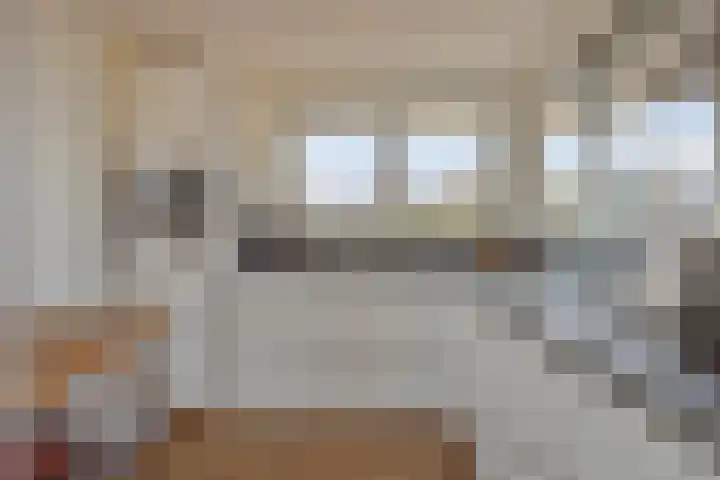 Parelduiker 4 Zoutelande thumbnail 16