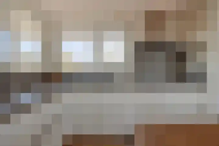 Parelduiker 4 Zoutelande thumbnail 18