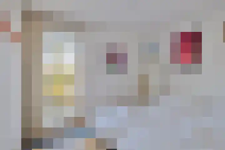 Parelduiker 4 Zoutelande thumbnail 21