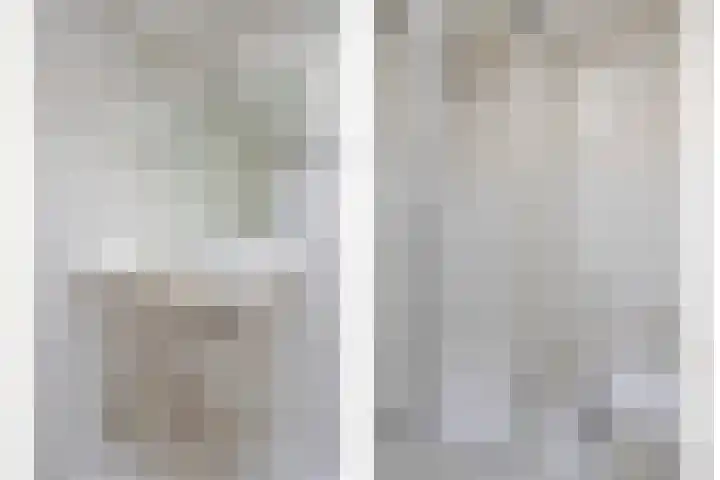Parelduiker 4 Zoutelande thumbnail 23