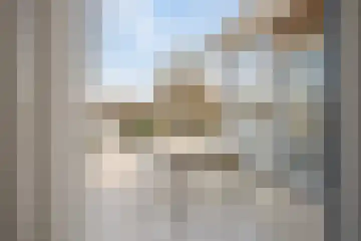 Parelduiker 4 Zoutelande thumbnail 27