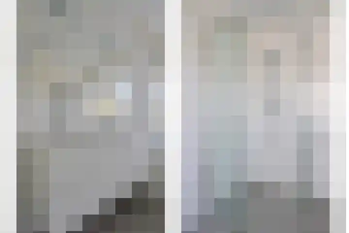 Parelduiker 4 Zoutelande thumbnail 29