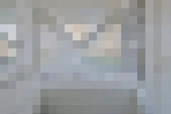 Parelduiker 4 Zoutelande thumbnail 30