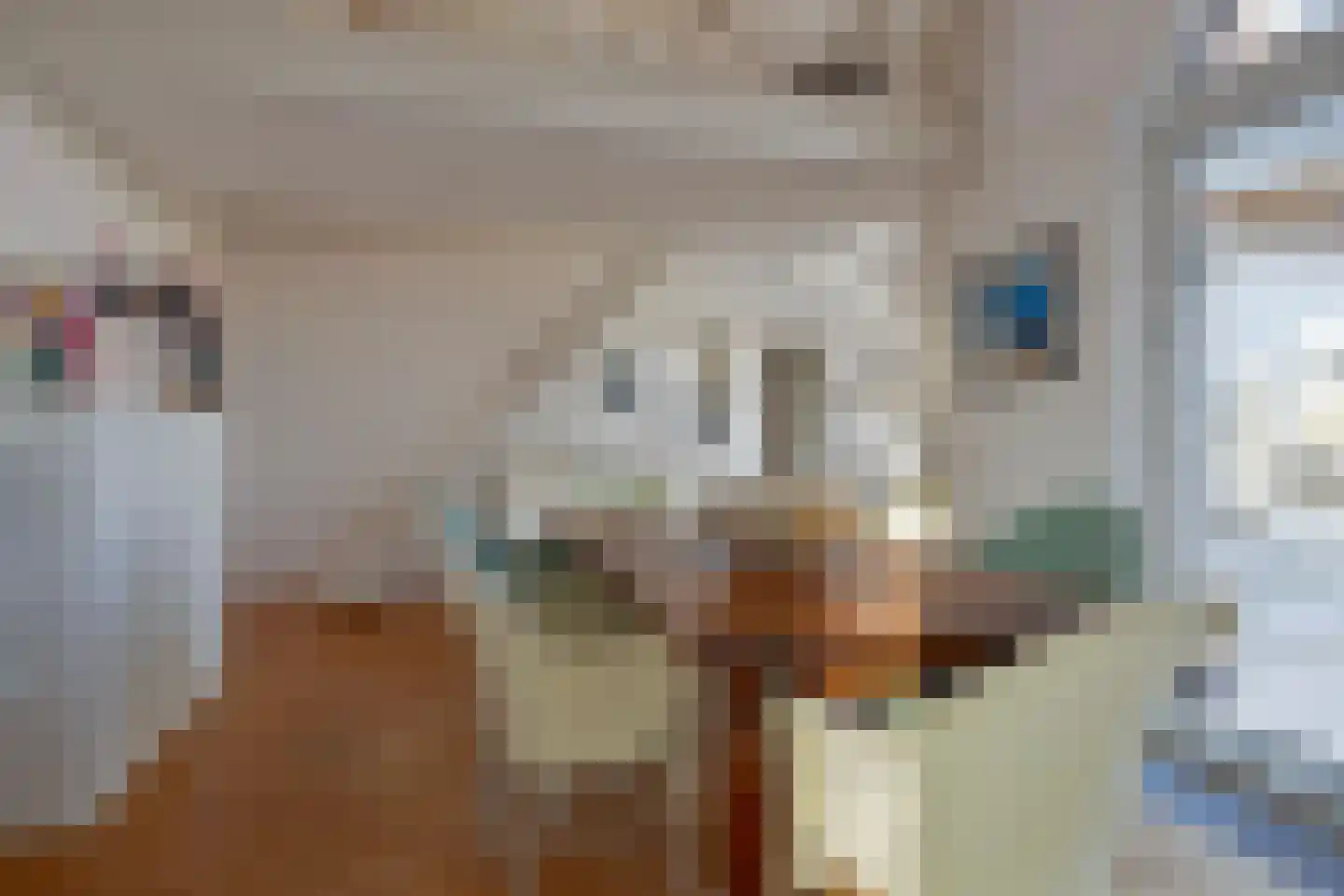 Parelduiker 4 Zoutelande thumbnail 32