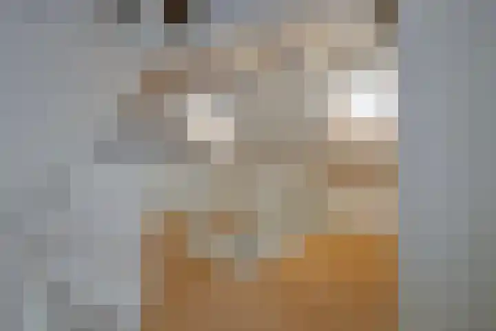Parelduiker 4 Zoutelande thumbnail 33