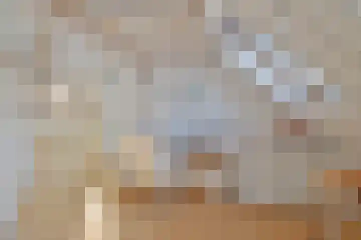 Parelduiker 4 Zoutelande thumbnail 35