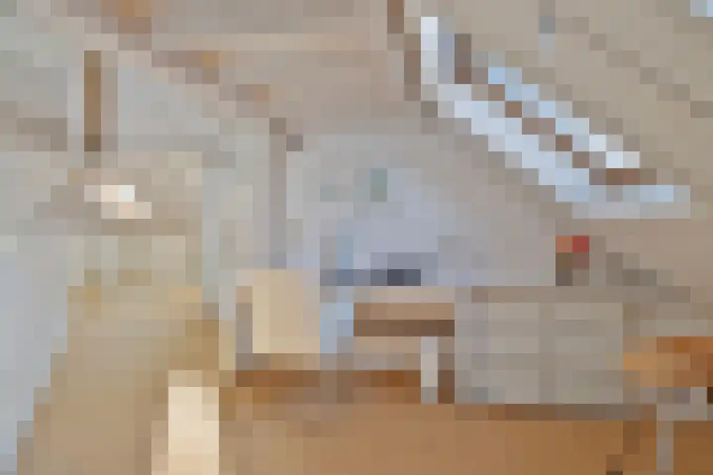 Parelduiker 4 Zoutelande thumbnail 35