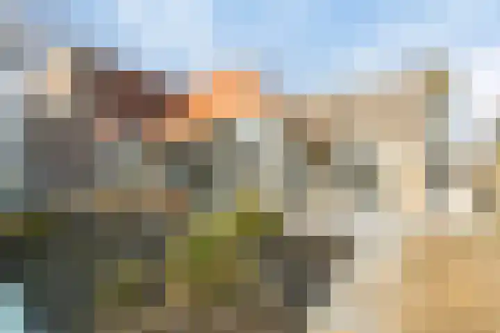 Parelduiker 4 Zoutelande thumbnail 37
