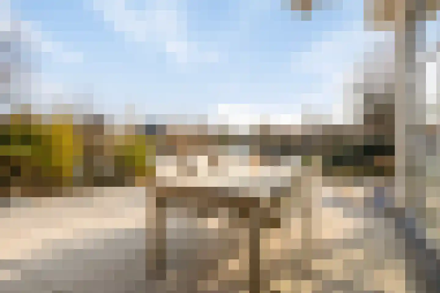 Parelduiker 4 Zoutelande thumbnail 39