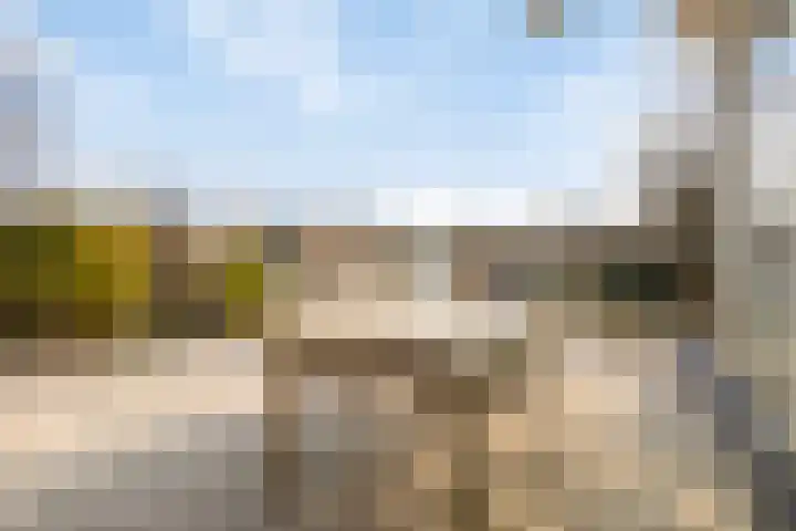 Parelduiker 4 Zoutelande thumbnail 39