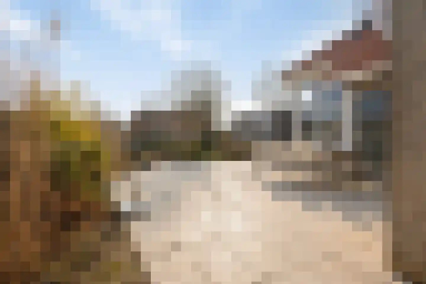 Parelduiker 4 Zoutelande thumbnail 41