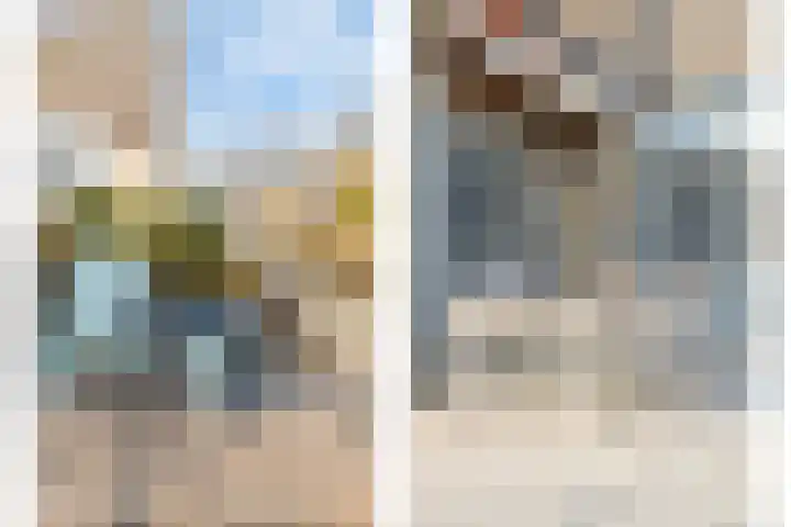Parelduiker 4 Zoutelande thumbnail 42