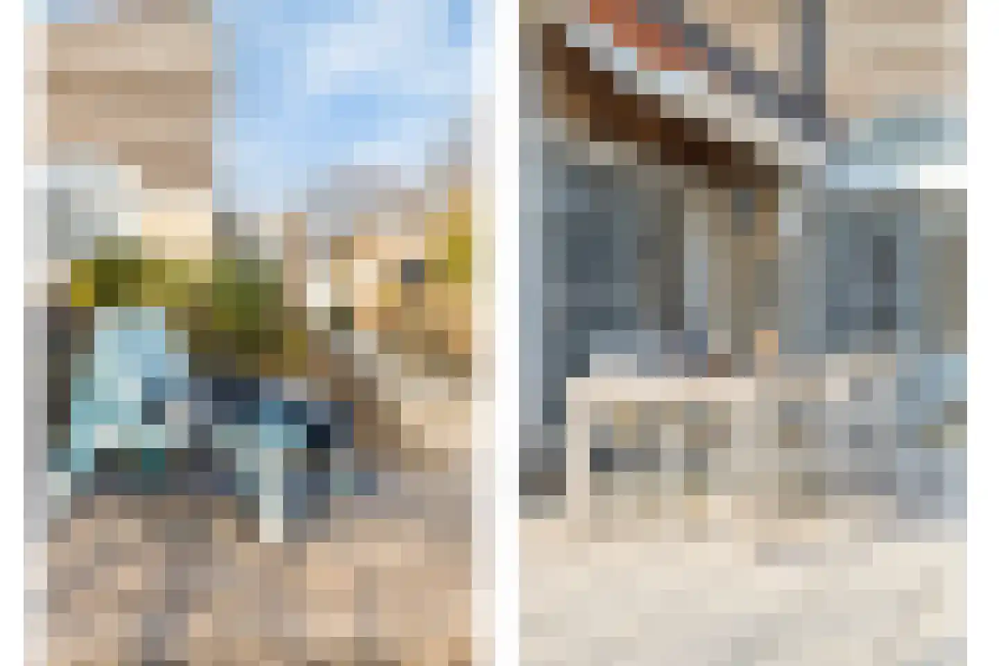Parelduiker 4 Zoutelande thumbnail 42