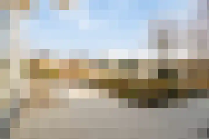 Parelduiker 4 Zoutelande thumbnail 43
