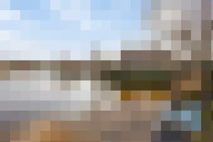 Parelduiker 4 Zoutelande thumbnail 44