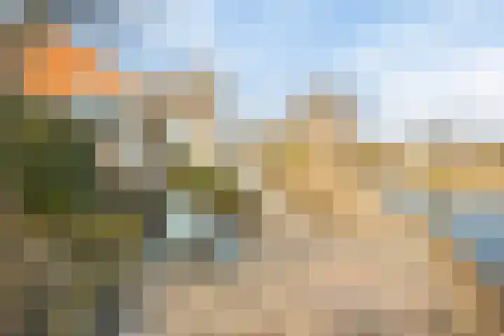 Parelduiker 4 Zoutelande thumbnail 45
