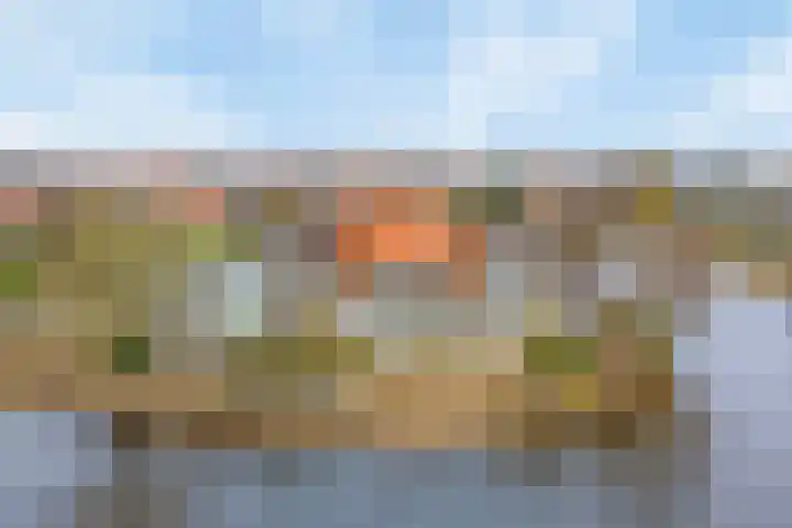 Parelduiker 4 Zoutelande thumbnail 47
