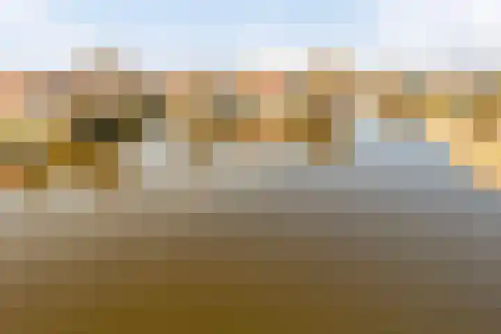 Parelduiker 4 Zoutelande thumbnail 48