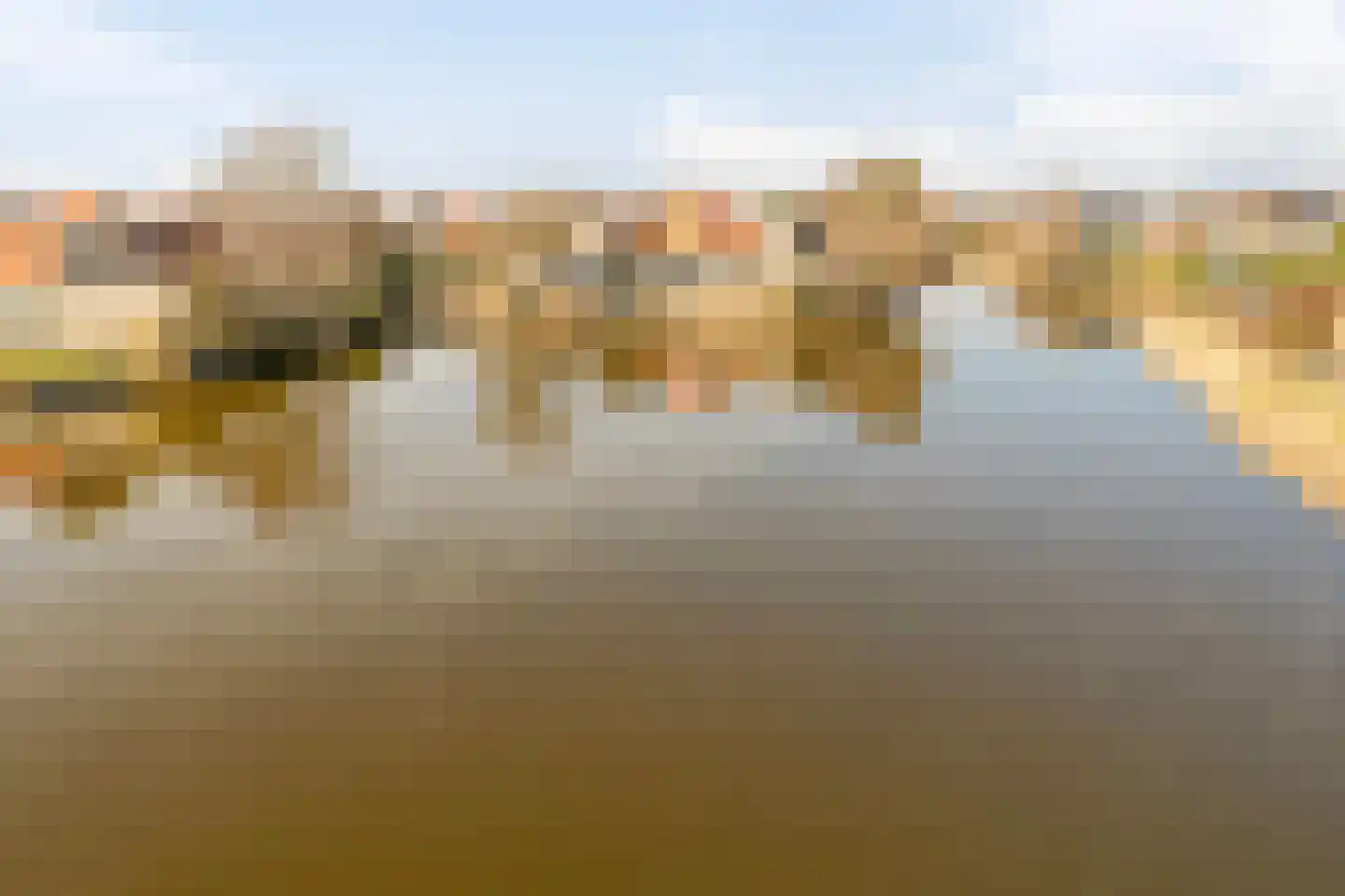 Parelduiker 4 Zoutelande thumbnail 48