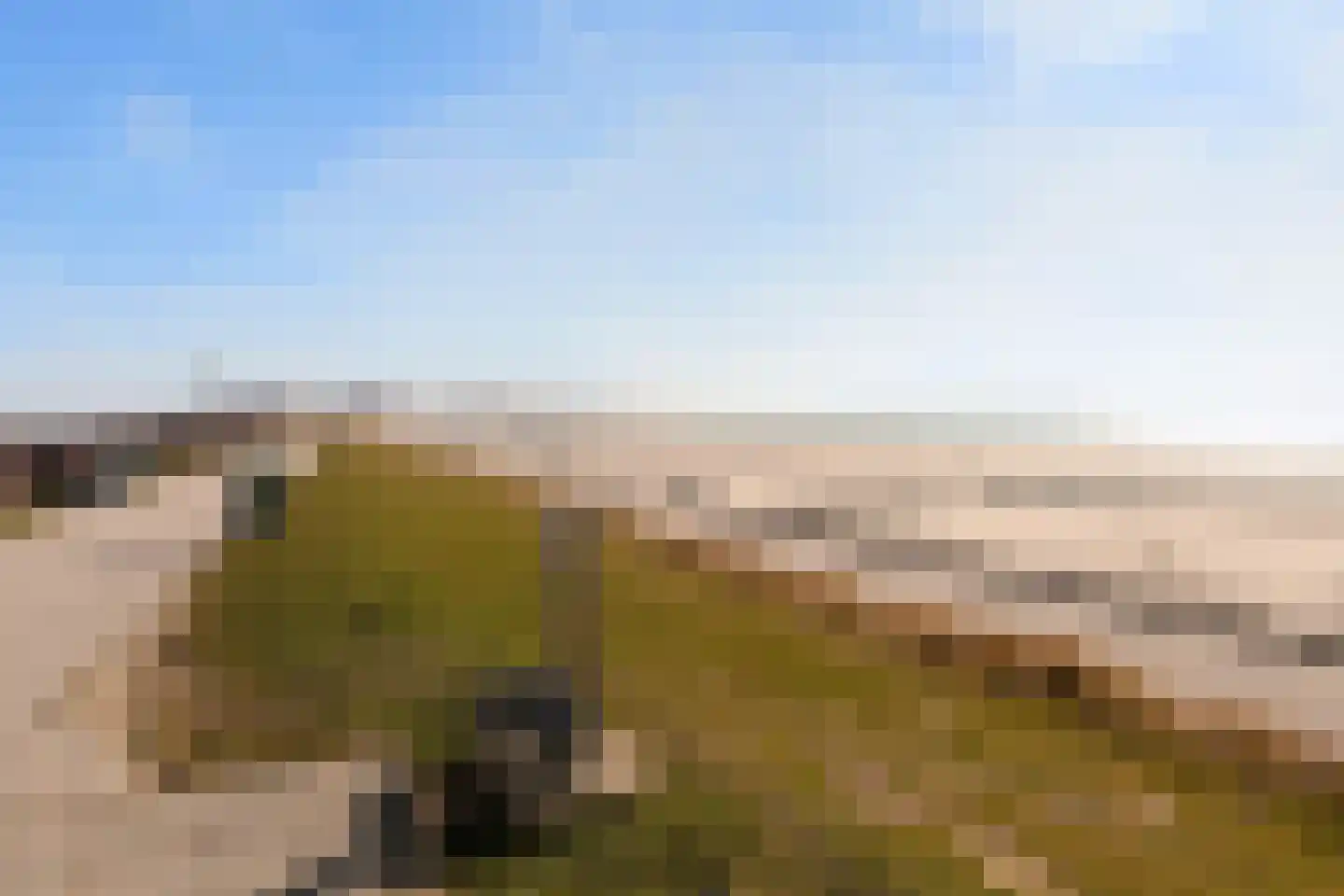 Parelduiker 4 Zoutelande thumbnail 49