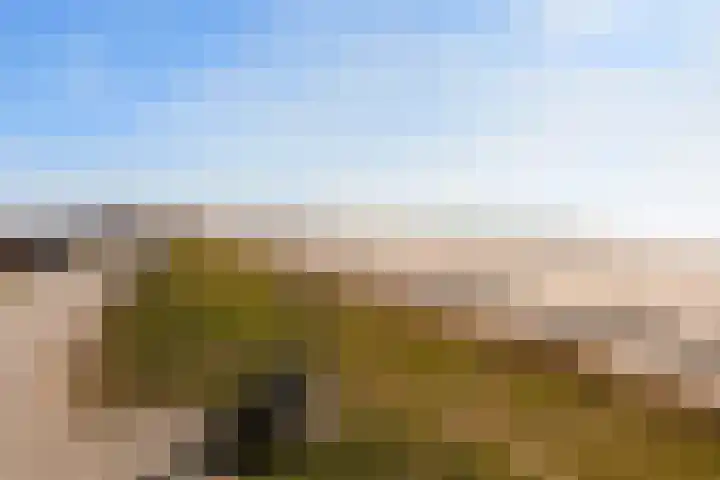Parelduiker 4 Zoutelande thumbnail 49