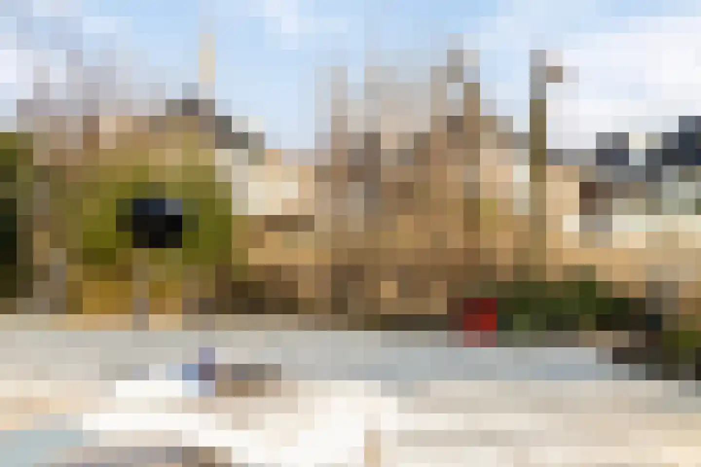 Parelduiker 4 Zoutelande thumbnail 5