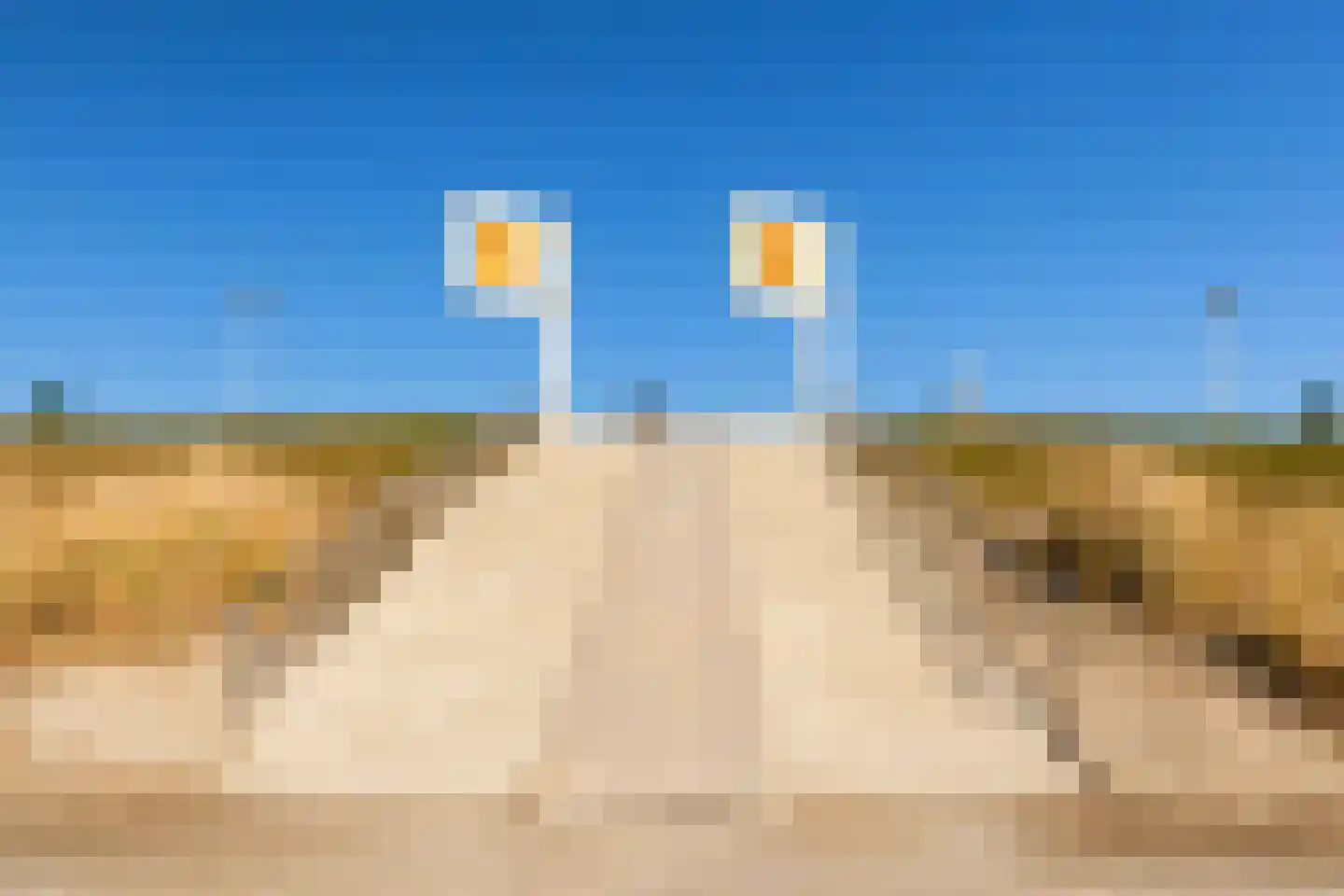 Parelduiker 4 Zoutelande thumbnail 50