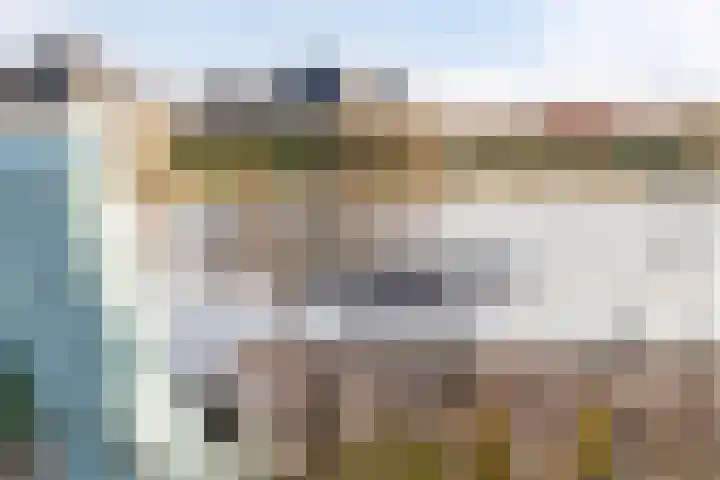 Parelduiker 4 Zoutelande thumbnail 7