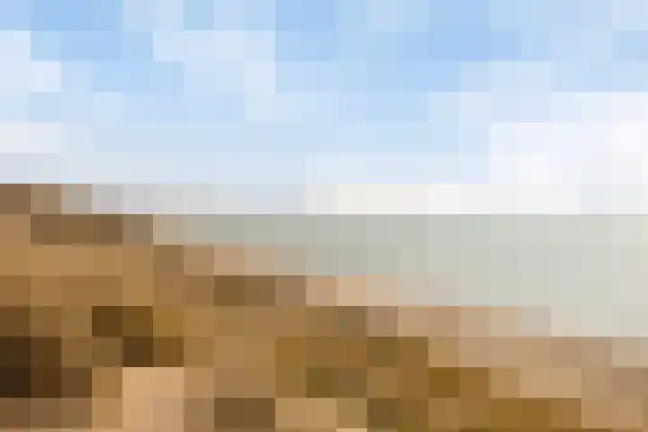 Parelduiker 4 Zoutelande thumbnail 8