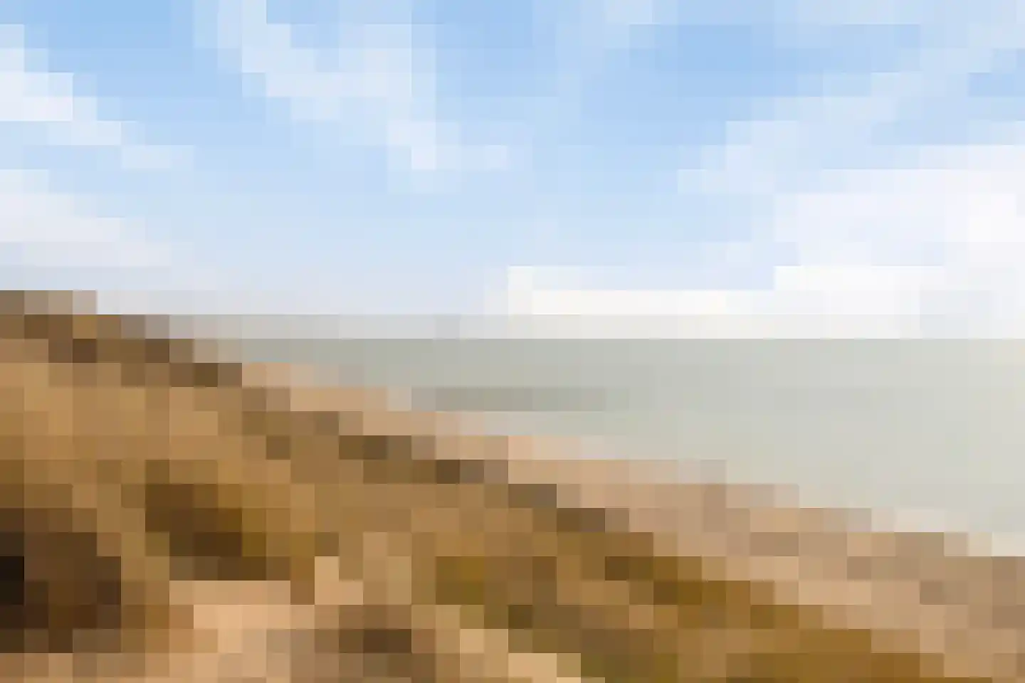 Parelduiker 4 Zoutelande thumbnail 8