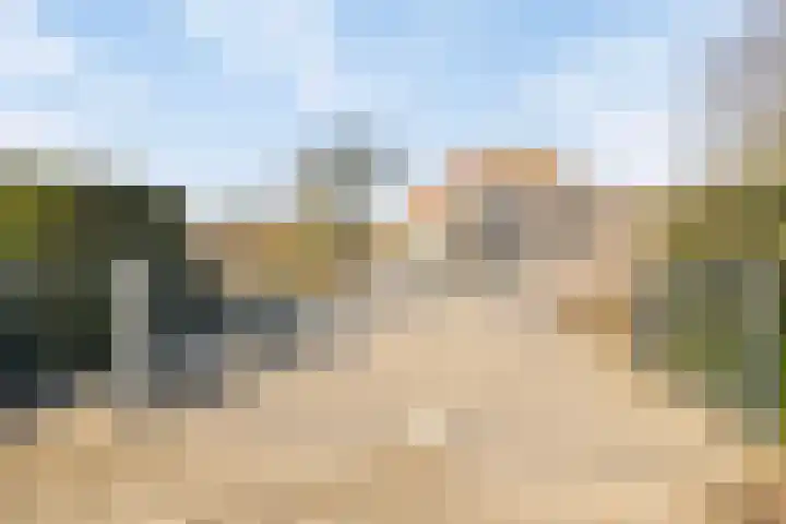 Parelduiker 4 Zoutelande thumbnail 9