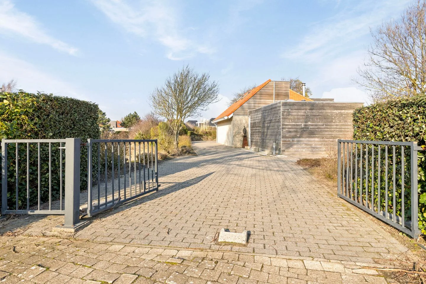 Parelduiker 4 Zoutelande thumbnail 9