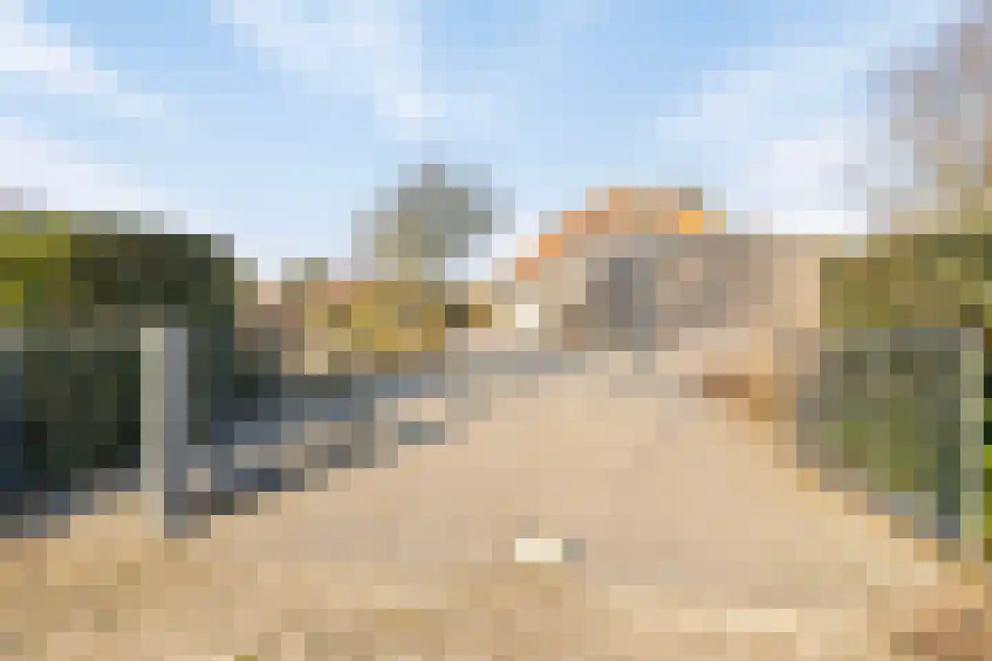 Parelduiker 4 Zoutelande thumbnail 9