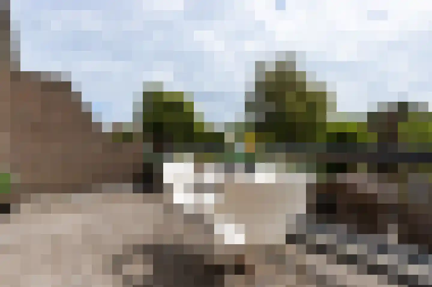 Parelduiker 41 Noordwijk thumbnail 18