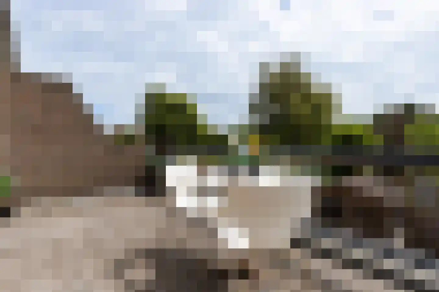 Parelduiker 41 Noordwijk thumbnail 19