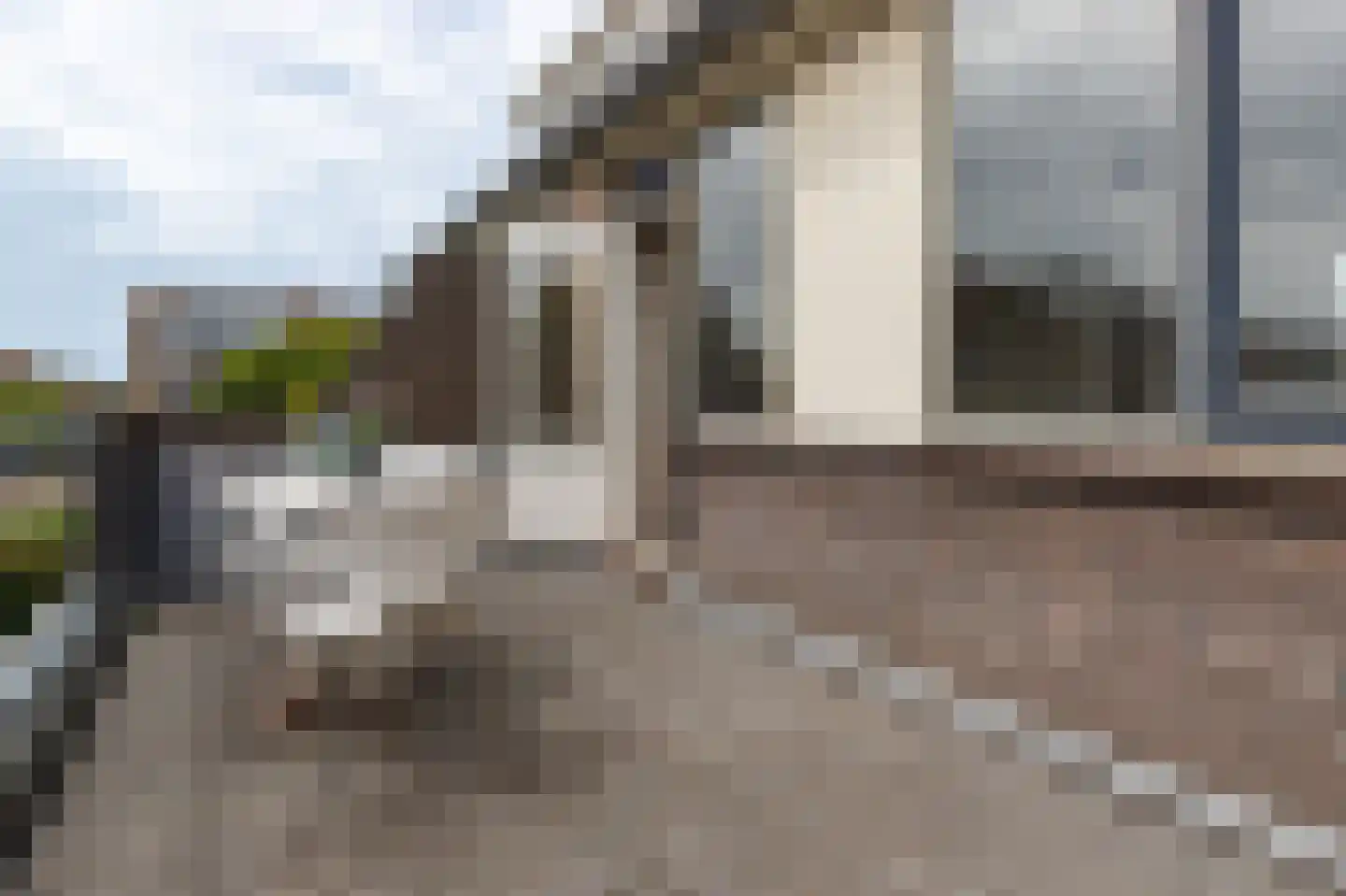 Parelduiker 41 Noordwijk thumbnail 21
