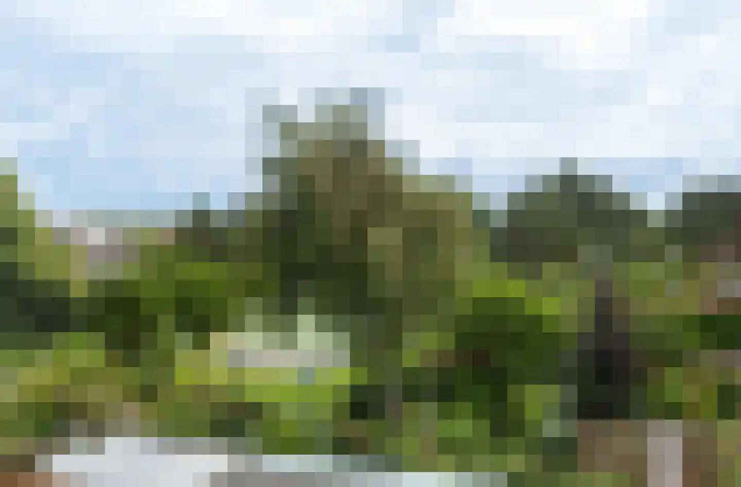 Parelduiker 41 Noordwijk thumbnail 27