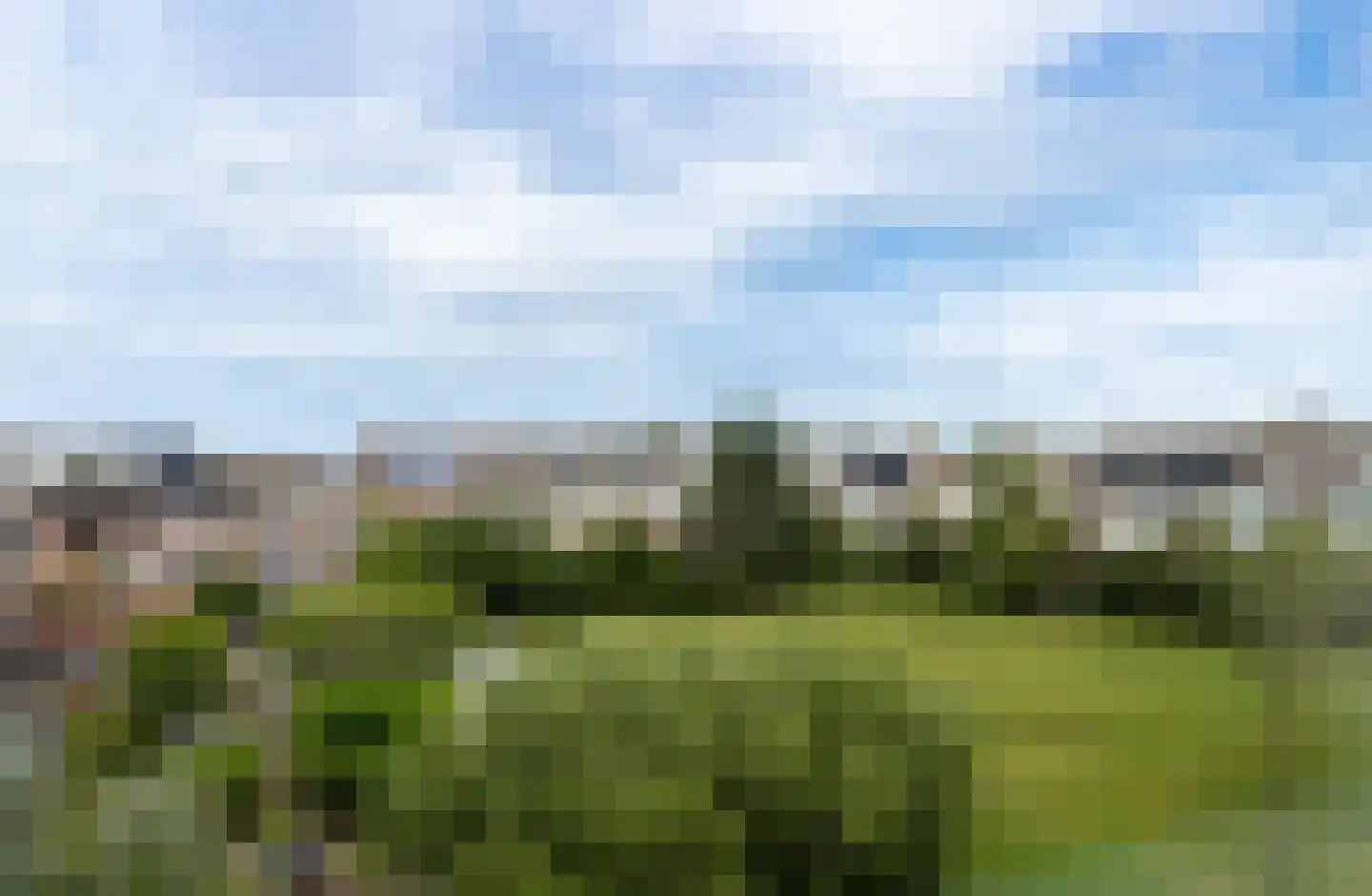 Parelduiker 41 Noordwijk thumbnail 28