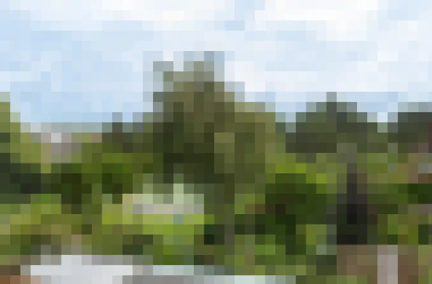 Parelduiker 41 Noordwijk thumbnail 28