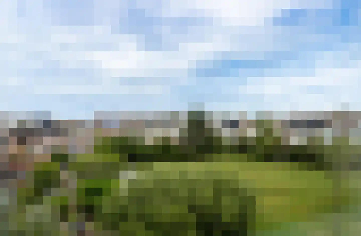 Parelduiker 41 Noordwijk thumbnail 29